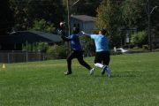 OTFL Gallery Image